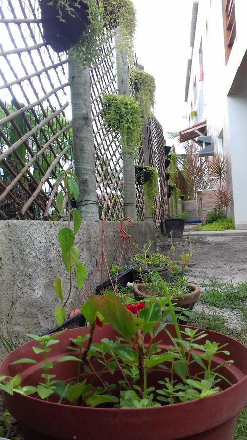 Tribo De Gaia Pansiyon Itaunas  Dış mekan fotoğraf